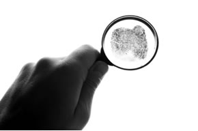 Commercial Investigations